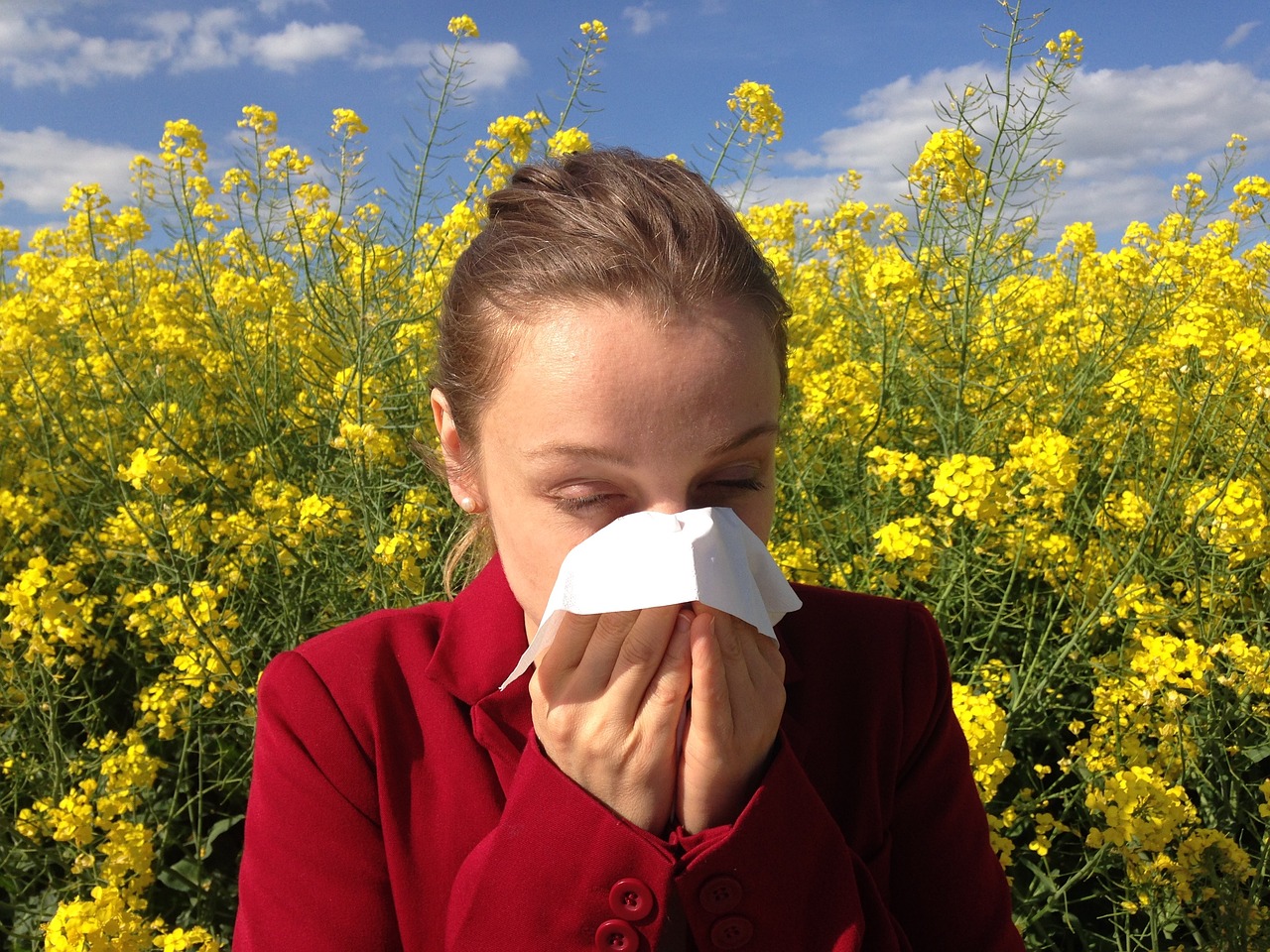 alergia i katar